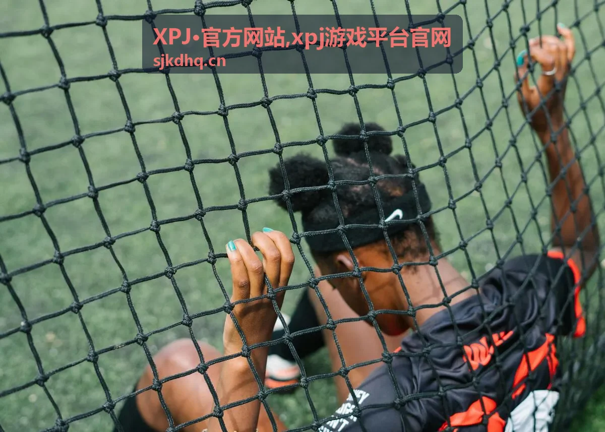 XPJ·官方网站入口说明与栏目导航图