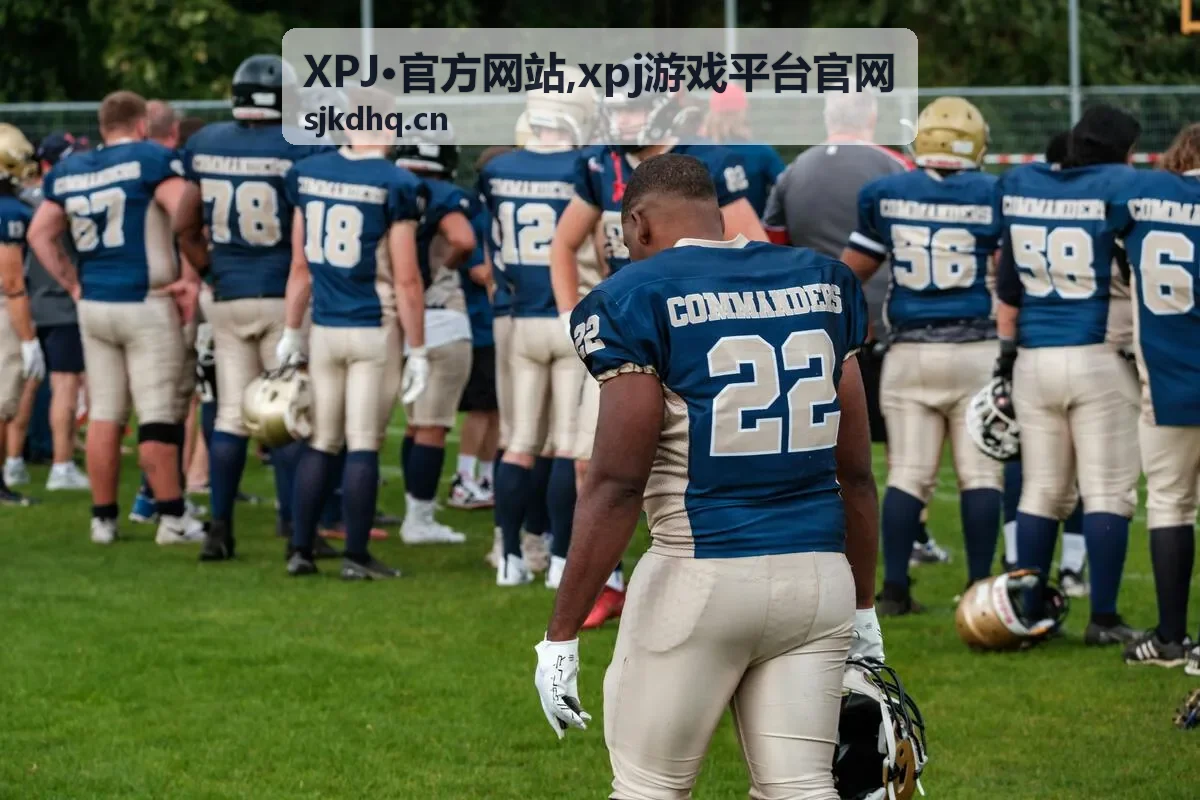 XPJ·官方网站服务说明与阅读提示